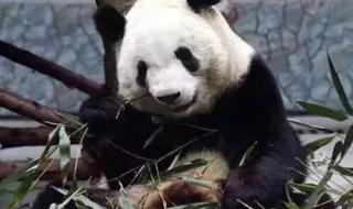 秦岭野生动物园路线