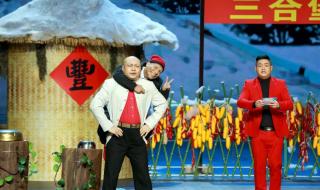 2018辽宁春晚宋小宝 2018辽宁春晚宋小宝