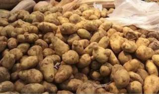 重庆一博士偷菜被抓 重庆一博士偷菜被抓