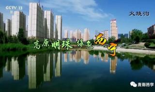 西宁电视台生活频道 西宁电视台生活频道