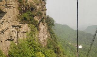 重庆金佛山旅游最新攻略 重庆金佛山旅游攻略