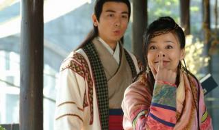 郑则仕演过的电视剧