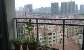 三亚凤凰水城红树湾