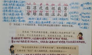 竹节人课文原文笔记 竹节人课文原文笔记