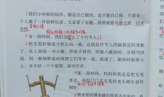 竹节人课文原文笔记 竹节人课文原文笔记