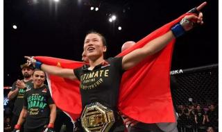 终极格斗冠军赛2010