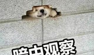 公司最怕员工起诉什么