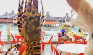 一场游戏一场梦粤语