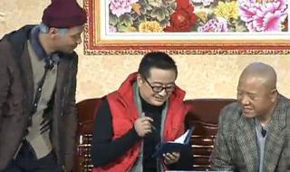 2013年辽宁卫视春晚 2013年辽宁卫视春晚