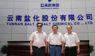 云南盐化股份有限公司