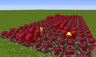 世界上最难写的汉字