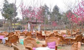 小本创业致富好项目