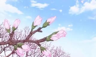 2023年属马需要躲春吗