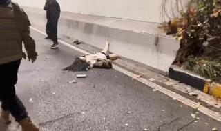 网红庄慕卿车祸身亡 网红庄慕卿车祸身亡