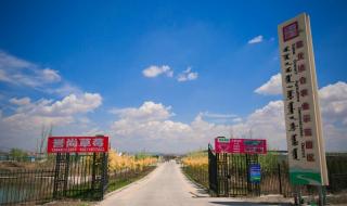 内蒙古农业银行招聘 内蒙古农业银行招聘