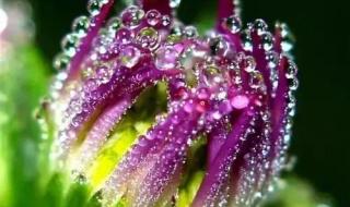 雨后的故事动态图片