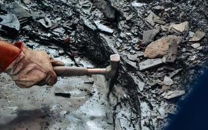 胡氏贵州龙化石 贵州发现完整恐龙化石